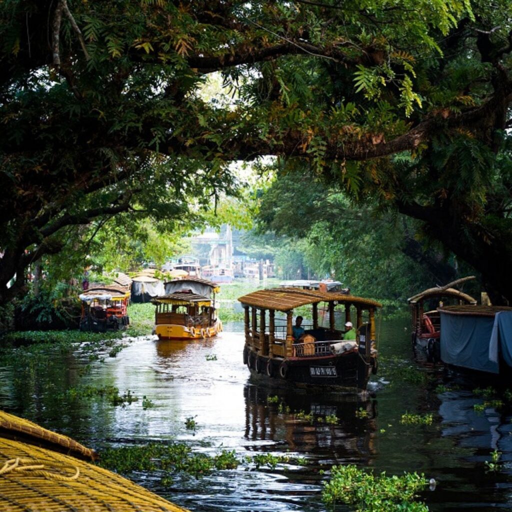 tourism, kerala, travel